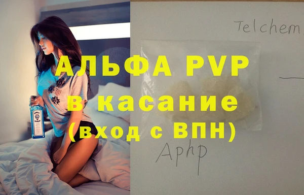 стаф Алзамай