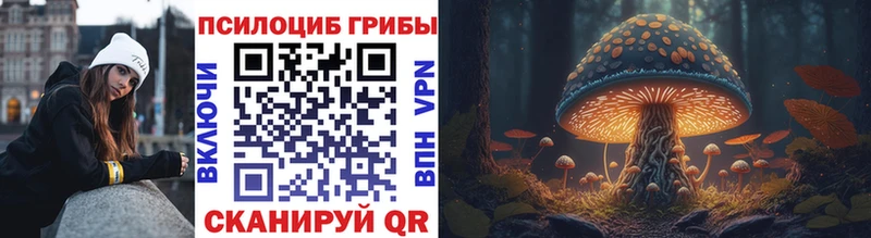 Купить  Вуктыл  Псилоцибиновые грибы MAGIC MUSHROOMS 